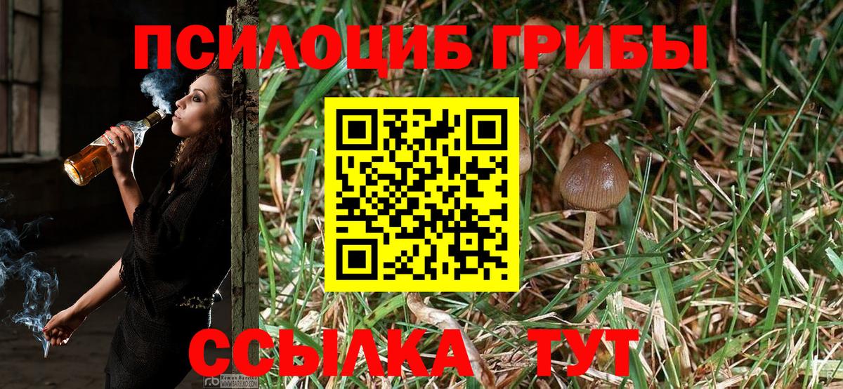 Псилоцибиновые грибы MAGIC MUSHROOMS  Вход с VPN  закладка  Галлюциногенные грибы GOLDEN TEACHER  Юрга 