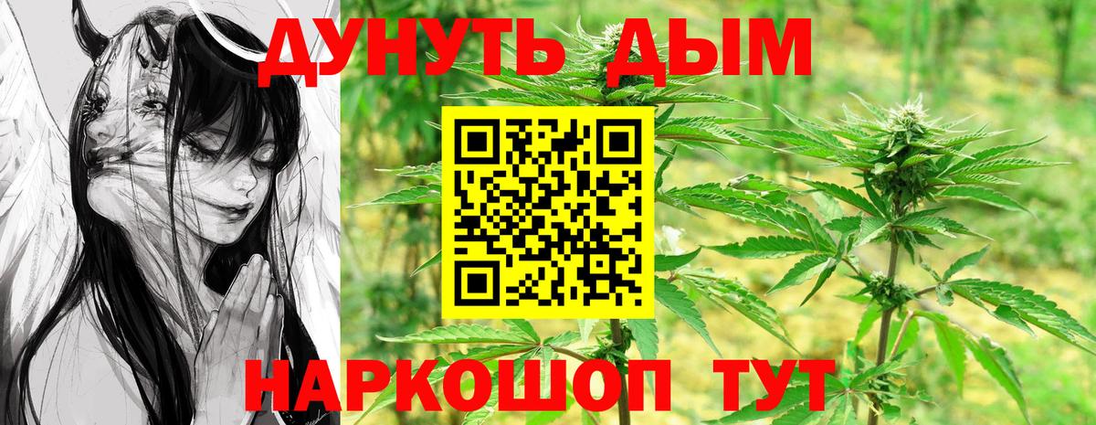 Конопля OG Kush Юрга